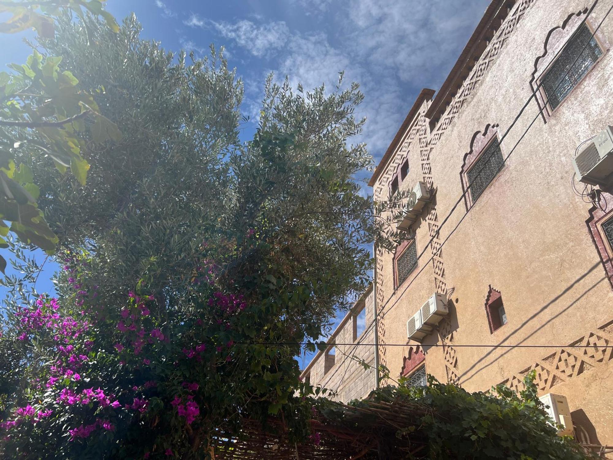 Dar Calme Chez El Bouhali Hotel Skoura Bagian luar foto